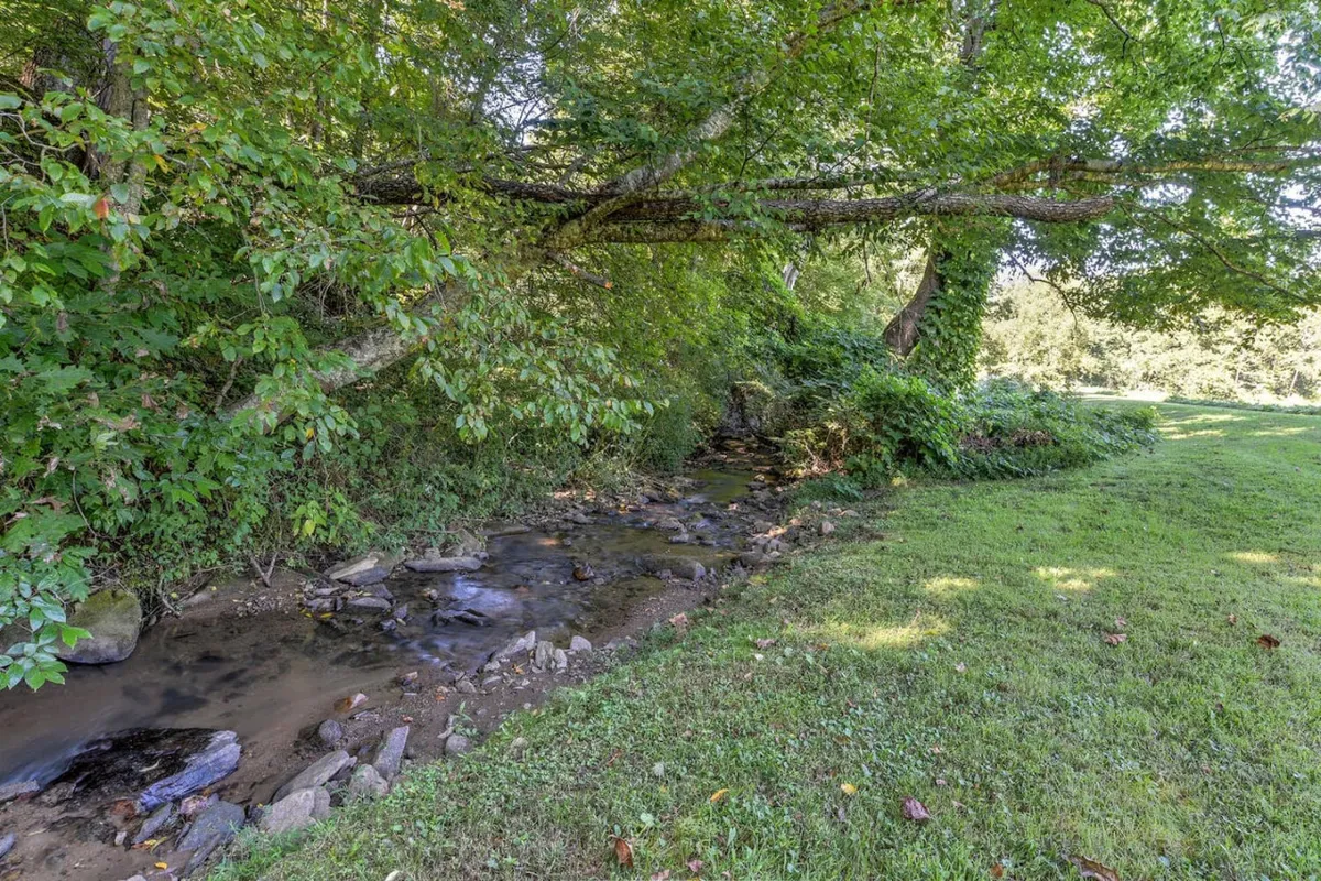 A picturesque creek meanders under overhanging branches amid dense greenery, evoking a feeling of untouched nature. The soft light and reflections on the water suggest a soothing, wildlife-rich environment ideal for discovery and quiet observation.